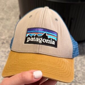 Patagonia Blue and Tan Trucker Hat